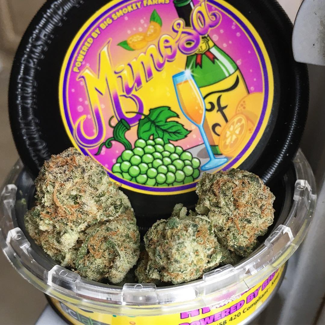 Buy Cannabis Minsk. Big Smoking Farm's Mimosa Cans Are you prepared to feel renewed and at ease on a whole new level? Look no further